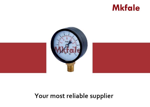 Cheap SMTB Stainless Steel Liquid Pressure Gauge Black Steel Case G / NPT / Other Thread for sale