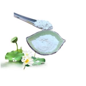 Best Slimming Lotus Leaf Extract Natural 98% Nuciferine With Pharmaceutical Grade wholesale