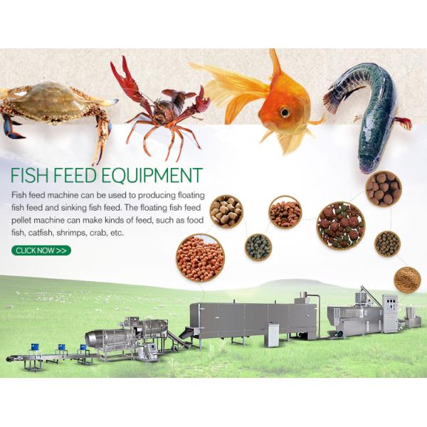 Shrimp Fish Feed Extruder Qualified Dry And Wet Type SGS Certification