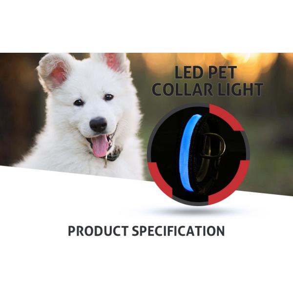 Wholesale waterproof usb rechargeable led dog collar