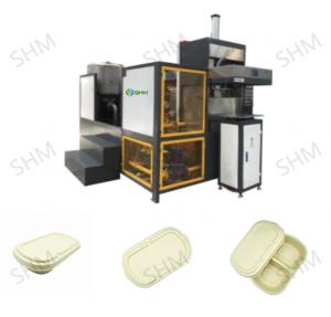 Best Industrial Bagasse Pulp Molding Machine Powerful Paper Pulp Forming Machine wholesale