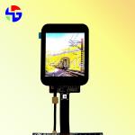 2.95 Inch AMOLED LCD Screen MIPI Interface IPS 1080x1920 for Smart Watch
