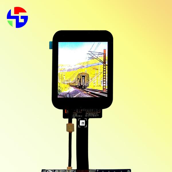 2.95 Inch AMOLED LCD Screen MIPI Interface IPS 1080x1920 for Smart Watch
