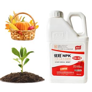 Best Vegetables NPK Water Soluble Fertilizer 19-19-19 Compound NPK Fertilizer For Agricultural Crops Fruits wholesale