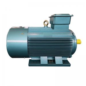 Best Industrial LV Squirrel Cage Motor Induction Air Compressor Electric Motor IP55 wholesale