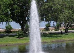 Best 1 DN25 Brass Water Fountain Spray Jet  Display Spray  Diameter 0.3m wholesale