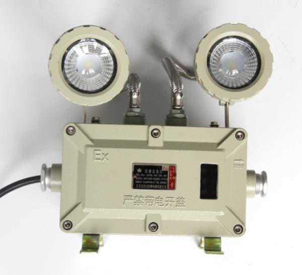 Cheap 3W*2 ExProof Emergency Light Built-In Maintenance-Free Battery Pack ≥120min for sale