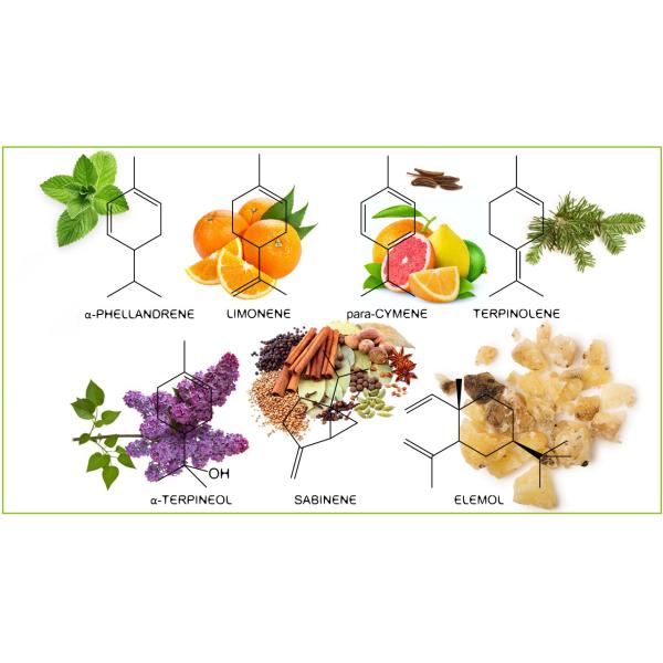500L Plant Essential Oil Extracting Machine for Lavender and Helichrysum Oil Distillation Shorten Distillation Time