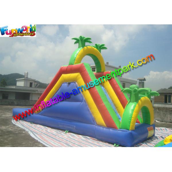 Customized Palm Tree Inflatable Water Slide Pool , Swimming Pool Slide With PVC