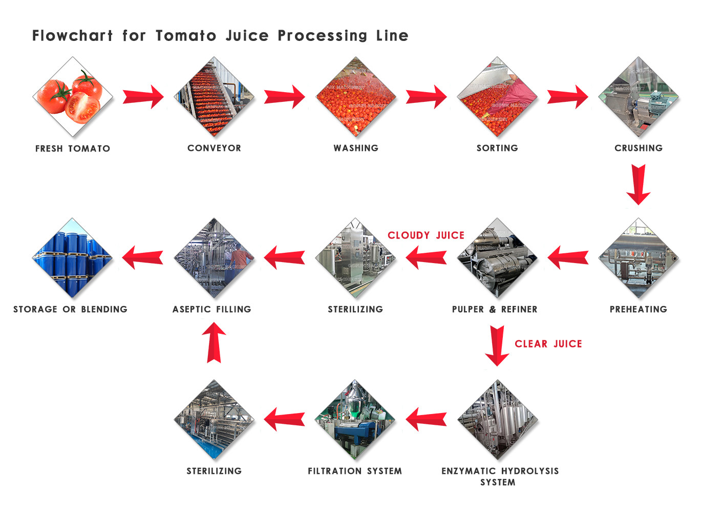Touch Screen PLC Concentrate Paste Tomato Processing Line