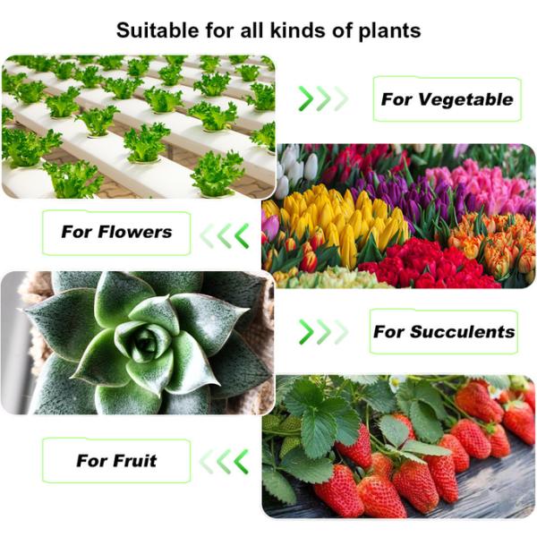 220V 3500K Light Bar Module Efficient Heat Dissipation For Indoor Planth Flowers