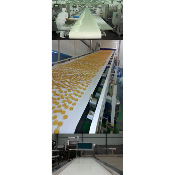 Biscuit Production Line Flat Belt Conveyor 0.4kW - 22kW Power High Efficiency