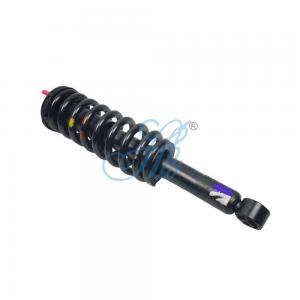 Best Shipping 7-25 days Front Shock Absorber Inflatable for ISUZU Dmax JMC Teshun Ford Transit wholesale