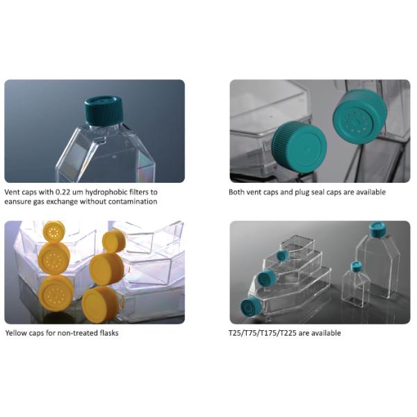 25cm lab instrument Cell Culture Flasks