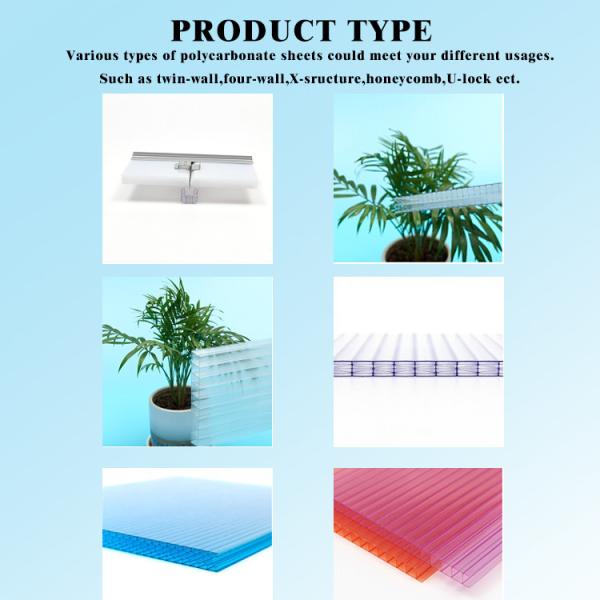 20mm 16mm 10mm Polycarbonate Roofing Sheets Uv Protected 10mm Twinwall Plastic Sheets