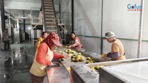 440V Apple Sauce Processing Machines Specially Customized For Food Processing Plants