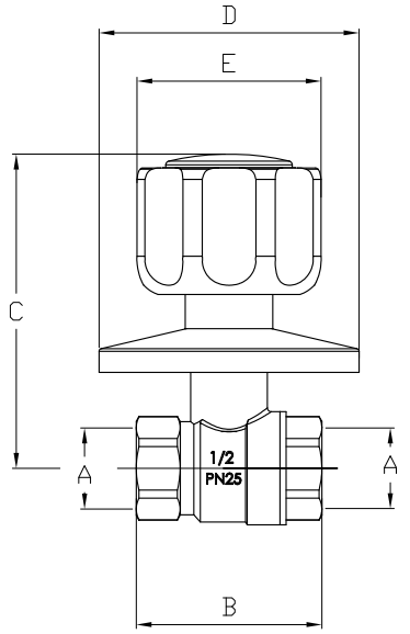 Female X Female 25 Bar Built in Brass Ball Valve