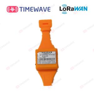 Best Cable Temperature Measuring Device Smart IOT LoRaWAN TIMEWAVE wholesale
