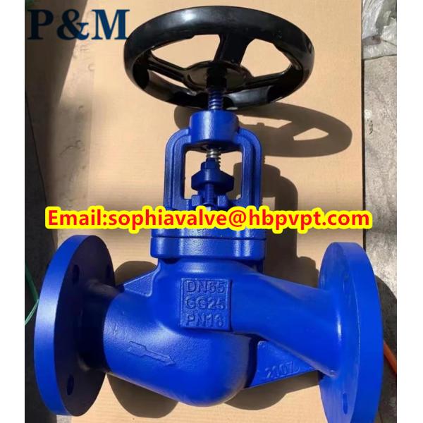 DIN GG25 PN16 cast iron globe valve made in China