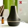 100ML Electronic Aroma Diffuser With Natural Sound Music for sale