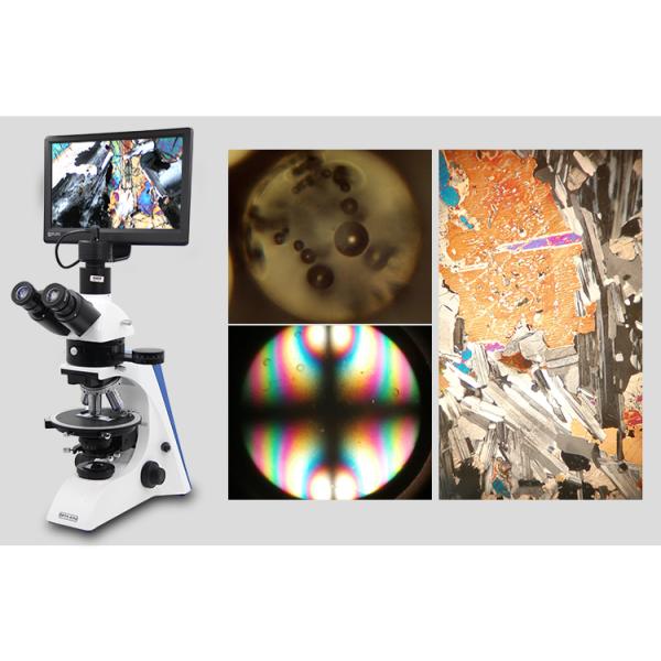 Polarizing Microscope