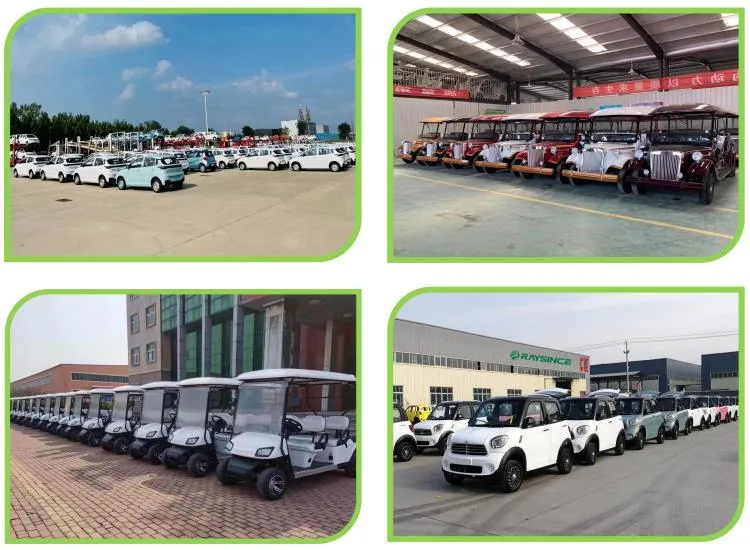 Raysince Factory Price High Speed Electric Car China Supplier Hot Sales New Energy Car with Four Seats and and Five Door