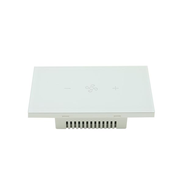OEM Tuya Smart Switch 10A Smart Ceiling Fan And Light Combination Switch
