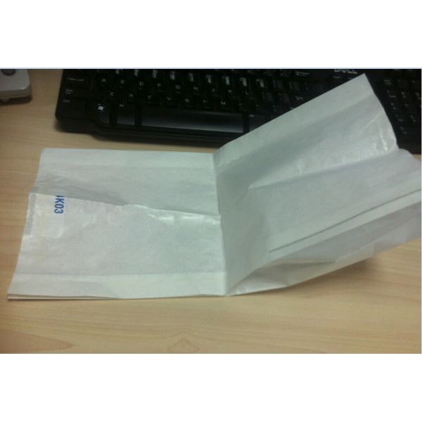 Dragon fruit protective paper bag with different size factory price