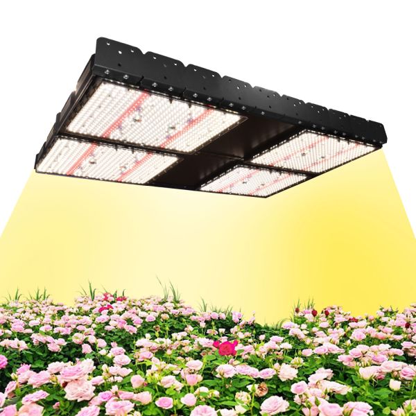 1000W Full Spectrum Dimmable LED Grow Light for Indoor Plants with Timer Control