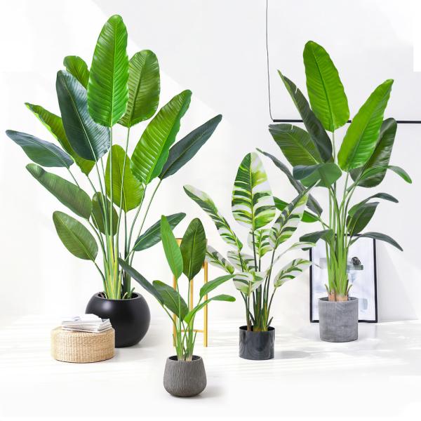 H160cm Artificial Traveller's Palm Customized Decorated For Store Office Corner