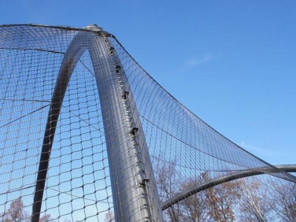 Cheap 316 316L ss rope cable wire net/stainless steel wire rope mesh net/zoo mesh for sale
