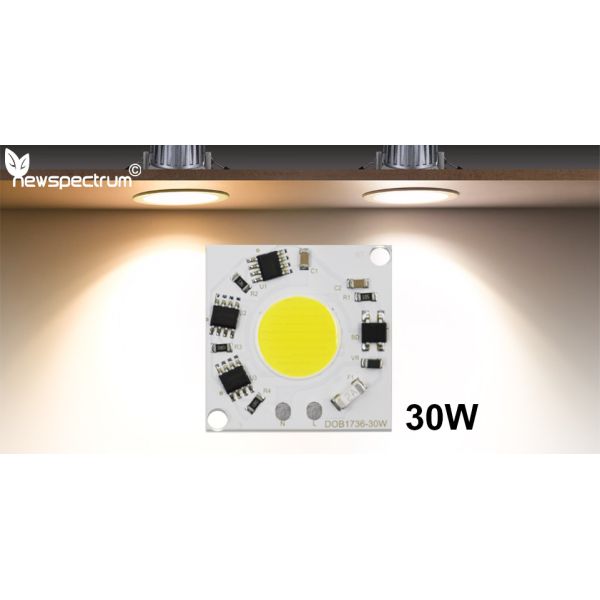COB 220V LED Module Cold White 30w Cob Led For Outdoor LED Bulb