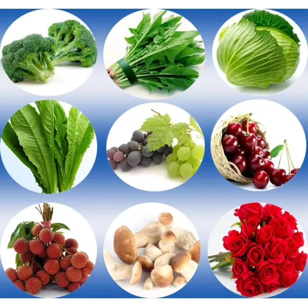 CE Certificate Fresh Flowers/ Herbs Vacuum Cooler for Airline