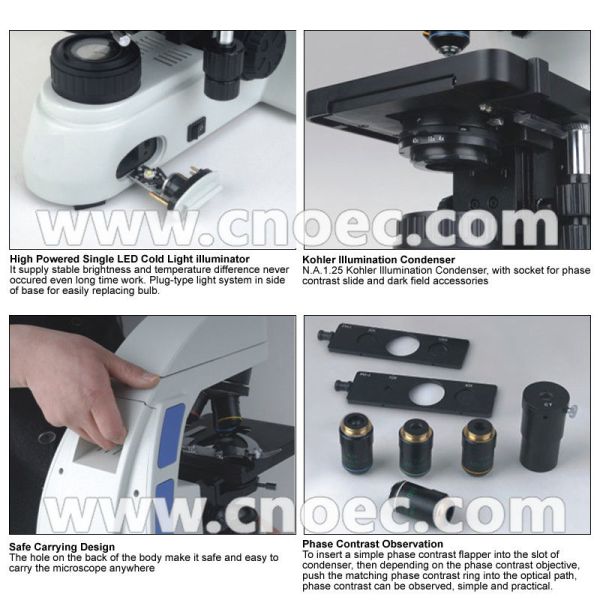 Binocular Head Compound Optical Microscope Infinity Plan Microscopes A12.0907-B