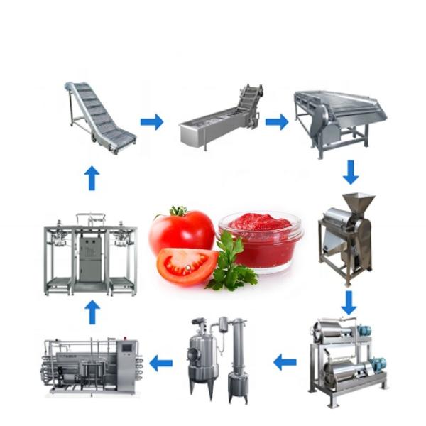 Cheap Customizable Fruit Juice Concentrate Machine Beverage Making Machine 1500T/D for sale