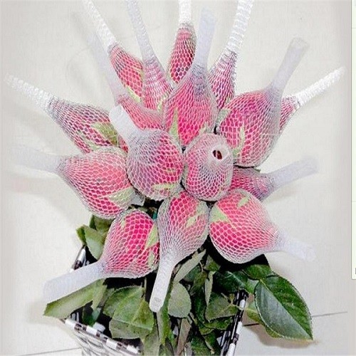 10CM Protective Netting Sleeve White Extruded Rose Protection Bud Net