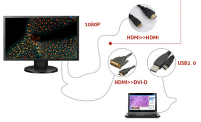 C Mount Wifi Eyepiece Microscope Camera Support External SD Card , Graphic Menu