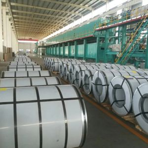 Best Top Performance PVDF Colour Coated Steel Coils Impact Resistance wholesale
