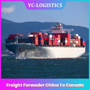 Best DDP DDU Amazon FBA Freight Forwarder China wholesale