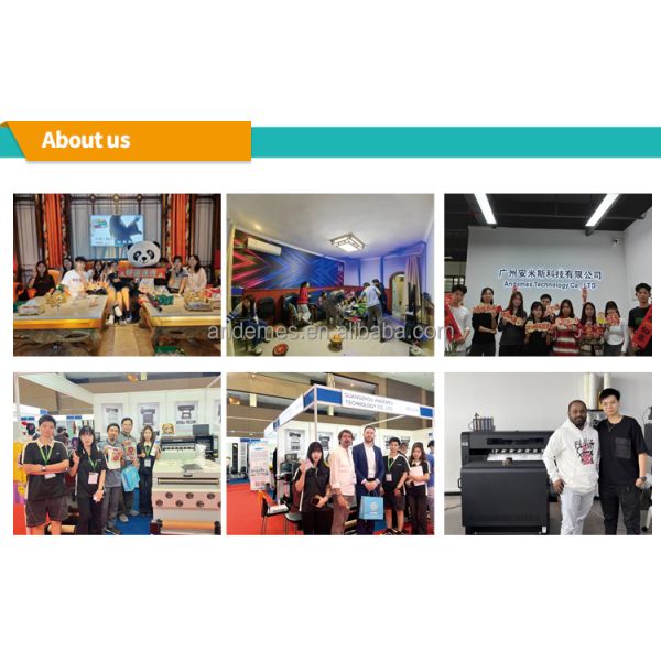 Tshirt Mini 13'' Single Head Xp600 A3 DTF Printer 33cm Roll Roll Heat Transfer Machine