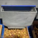 Advanced Computer Control, High-capacity online Dates Sorting machine, Deep
