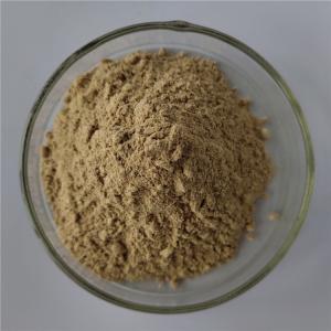 Best wholesale chaga mushroom extract/chaga extract in bulk wholesale
