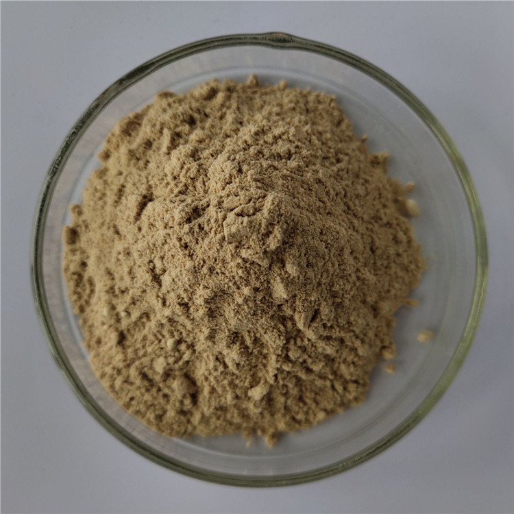 wholesale chaga mushroom extract/chaga extract in bulk