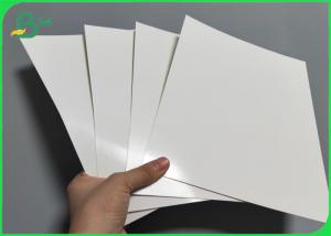 Best Food Grade White PE Coated Paperboard 210gsm 315gsm Gloss Surface wholesale