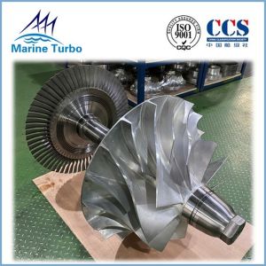 Rotor Shaft Assembly For Axial Flow Turbine  Marine