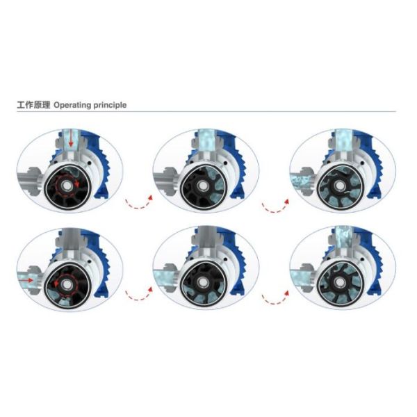 RX Flexibility Impeller High Purity Pumps Achieve Clockwise And Counterclockwise Rotation