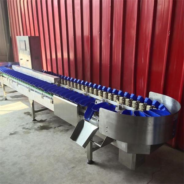 Cheap apple grading machine, apple sorting machine, fruit grader sorter for sale