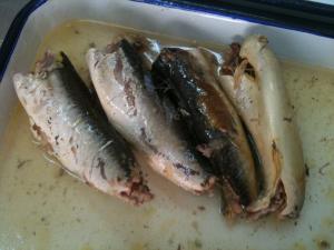 Best EU Certified Mackerel Canned Fish In Brine High Heart Healthy Omega - 3 Fatty Acids wholesale