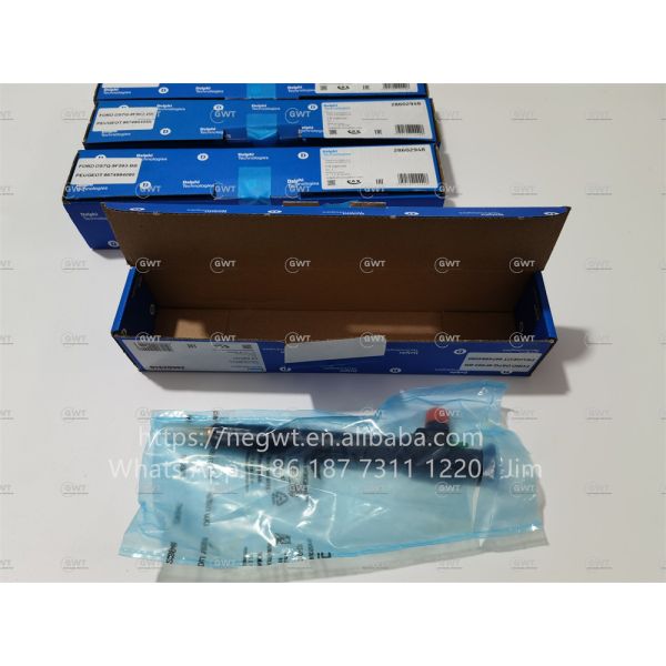 Common DELPHI Diesel Fuel Injectors 9674984080 DS7Q-9F593-BB 28319895 28388960 28602948