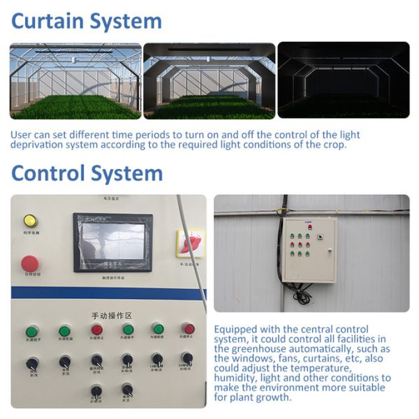 Easy Install Temperature Humidity Control Single Span Black Out Light Deprivation Greenhouse
